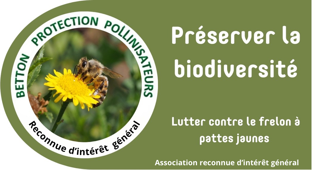 Betton Protection Pollinisateurs