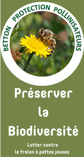 logo de l'asso